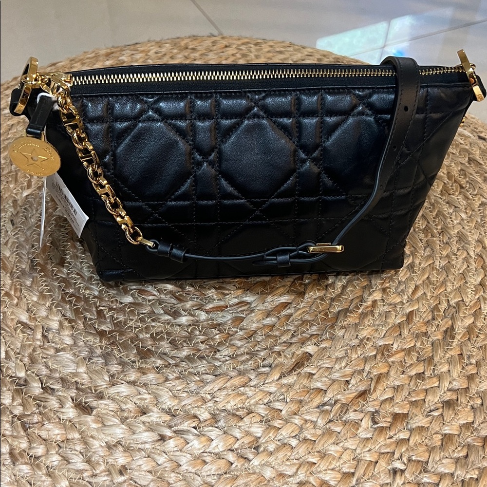 Diorstar Hobo Bag with Chain